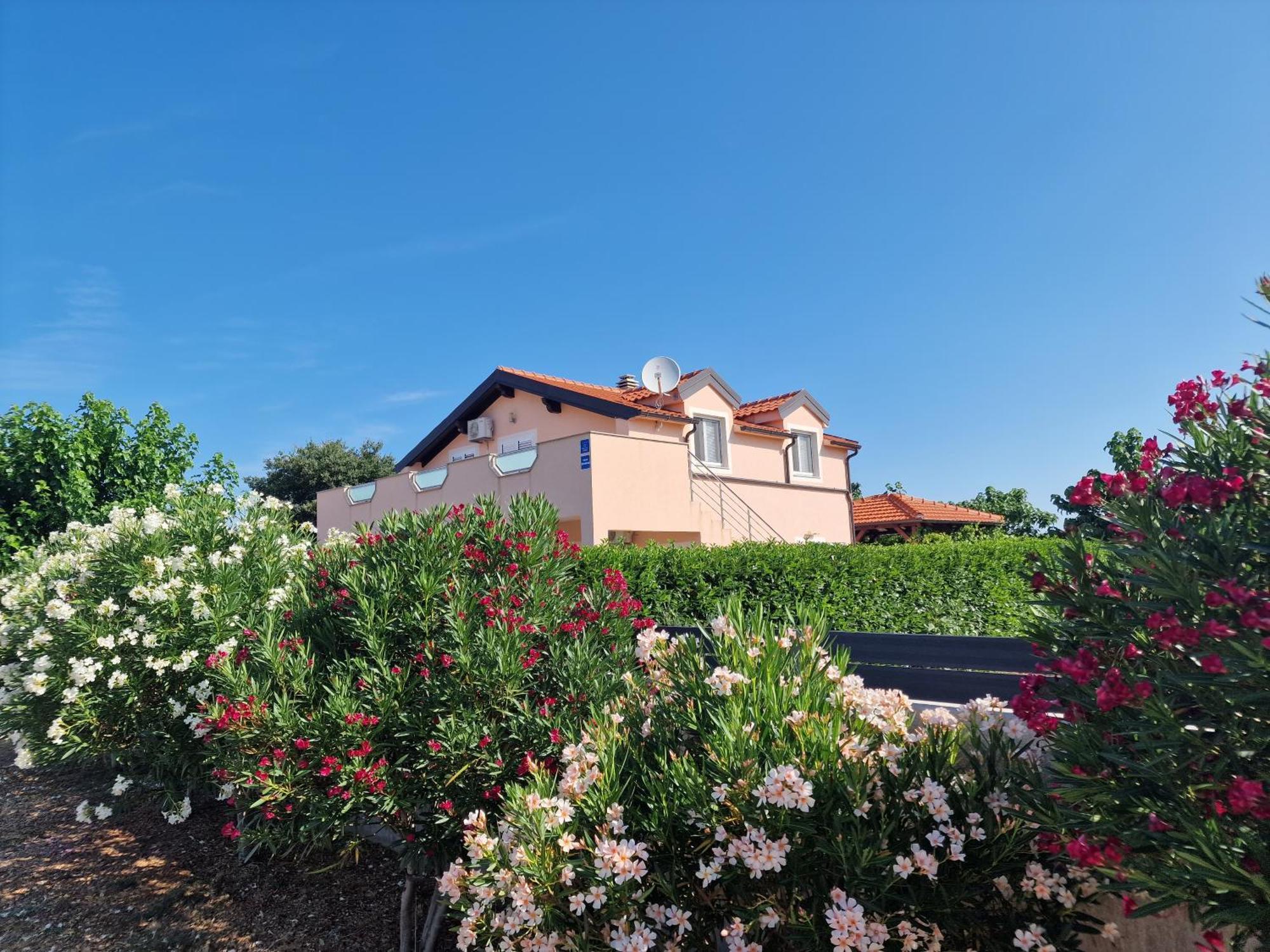 Villa Verbena Mala Cista Екстер'єр фото